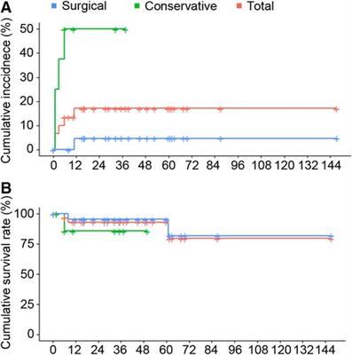 Clinical characteristics and therapeutic strategy for patients with spontaneous isolated abdominal aortic dissection